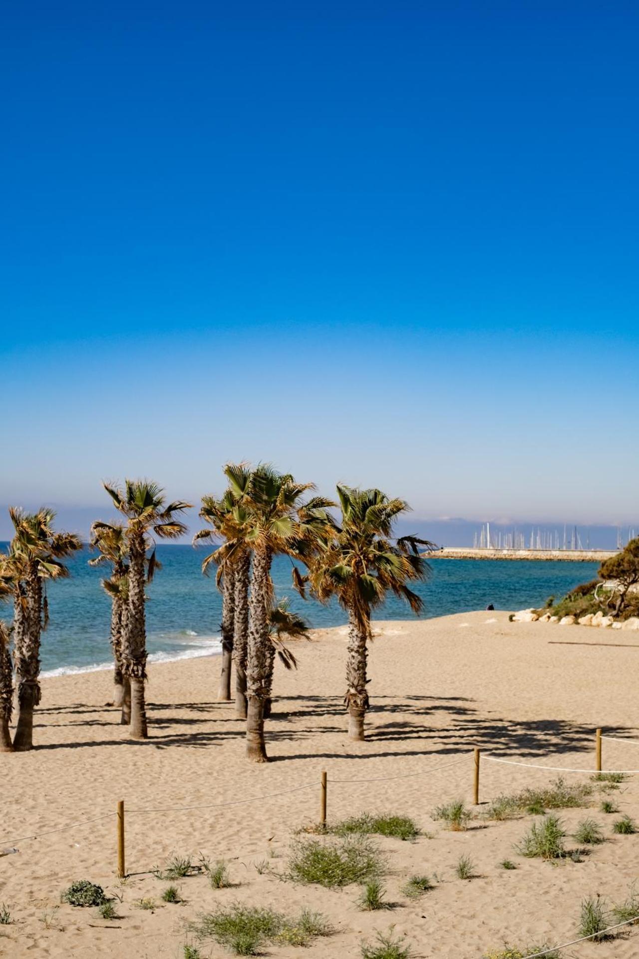 Paraiso Frente Al Mar Apto Duplex 콤마루가 외부 사진