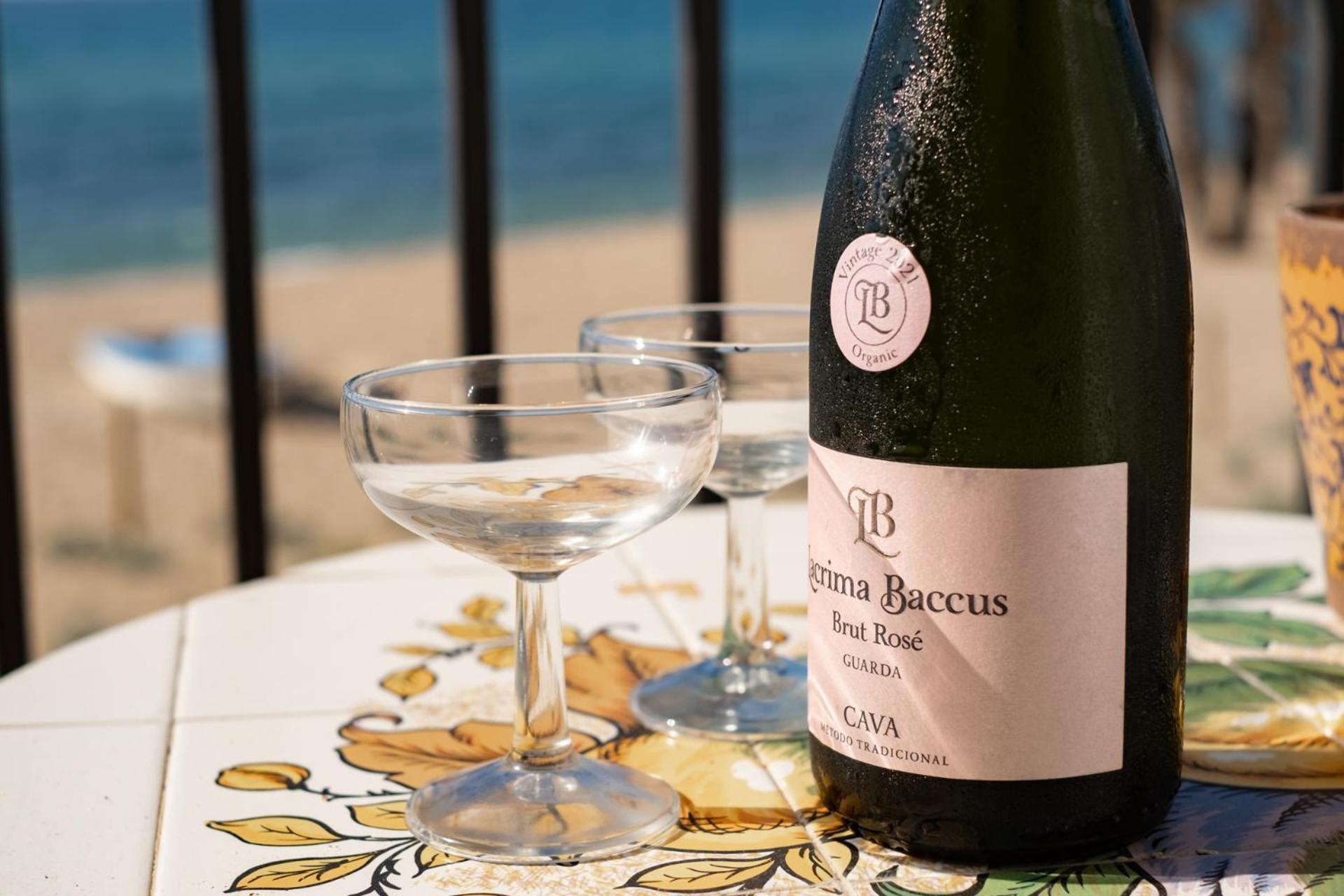 Paraiso Frente Al Mar Apto Duplex 콤마루가 외부 사진